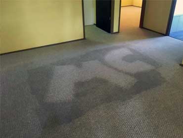 Carpet and Upholstery Cleaning Nowra
