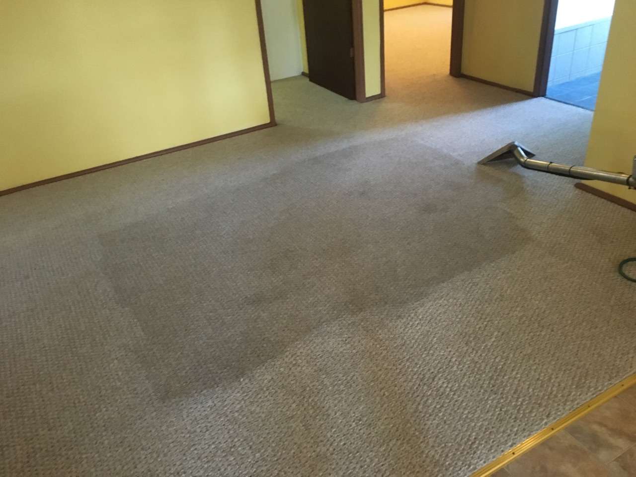 Carpet 4